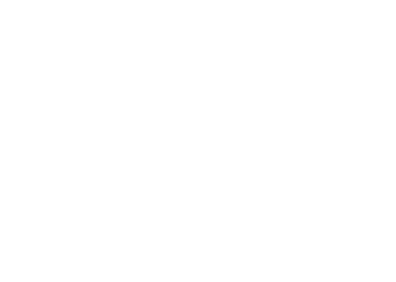 Vis Naturae